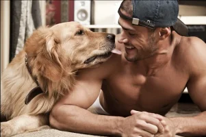pets11.webp