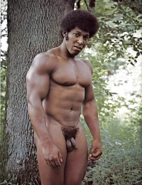 361_1000.webp