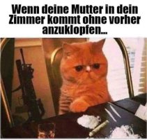 tja.jpg