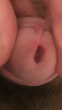 D1EF31E2-9F7E-43CF-9F96-4DAFB7BC29F7.png
