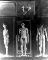 1953-10-12 RD.webp