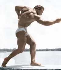 04e706ae7061a50fc68b2e9ebfa9211a--strike-a-pose-bodybuilders.webp