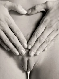 hofficesuche vag (237).webp