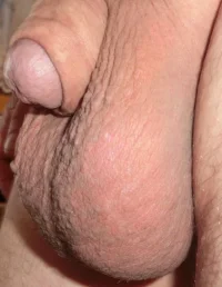 CIMG5274 (2).webp