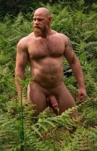 699_1000b.webp