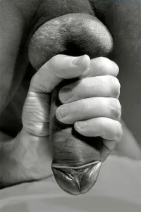 bn h.webp