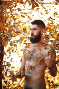 otoño 4l23l4l23.jpg