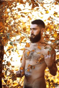 otoño 4l23l4l23.webp