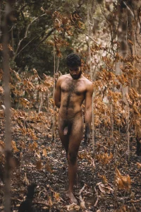 otoño e0t w0t.webp