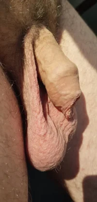 up close 1.webp