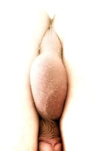 art +k53.webp