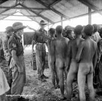 vint guerra2 5ýtk5m.webp