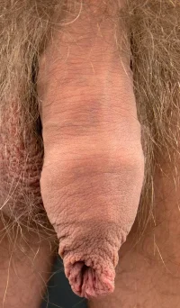 prep 45p346l034k63¡77.webp