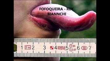 maxresdefault.webp