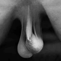 balls325.webp