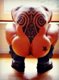 tatu t3 04r5r'.webp