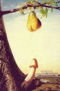 fruta erotica.webp
