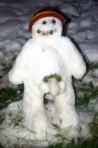 invierno 4ñl4m 4.webp