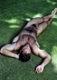 grass.webp