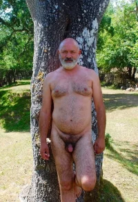 336_1000.webp