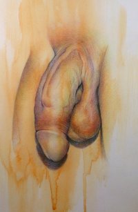 art cock.jpg