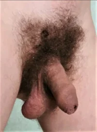 pubes e4n5n4 598a.webp