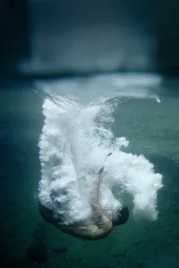 agua _'y.webp
