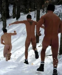 winter7.webp