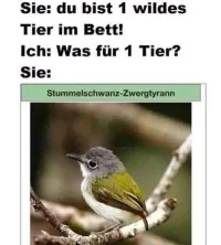 wildes-tier.webp