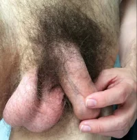 pubes  423ç423ñk5rtmy.webp