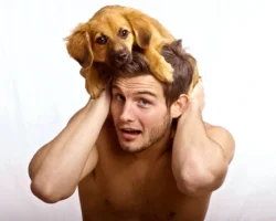 cute-boy-w-pooch-829-sx.webp