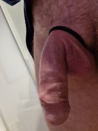 20230204_165556.jpg