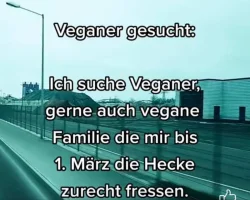 veganer-gesucht.webp