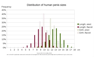 Human_penis_sizes.svg.webp