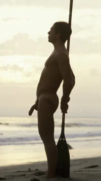 playa 4594yjy.webp