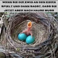Blue_Balls.webp