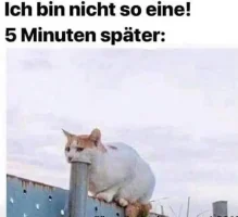 nicht_so_eine.webp