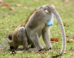 582_1000.webp