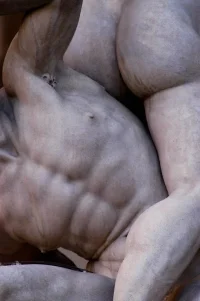 torso to.webp