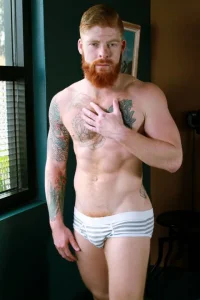 80fc0df8aaa2dfe9f3868ef02fc47468--ginger-guys-ginger-beard.webp