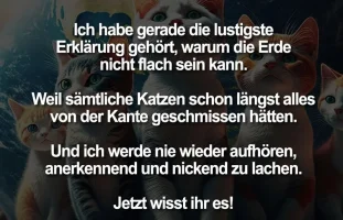 Katzen.webp