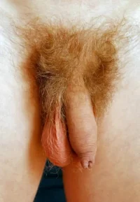pubes 4n4n4n44n4n 53i45.webp
