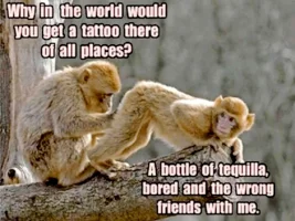 monkey-butt-25155.webp