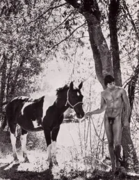 caballo 405'4054.webp
