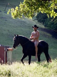 caballo 450.webp