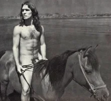 caballo 4503 '54.webp