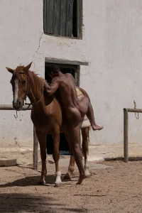caballo aeorkae0r.webp