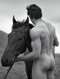 caballo trertperotp.webp
