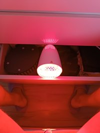 IMG_20230423_123301.jpg