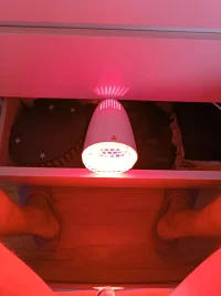 IMG_20230423_123301.jpg